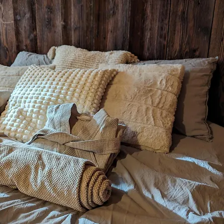 Σαλέ Adler Saas Fee